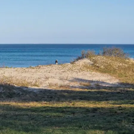 Close To Nature And Coast